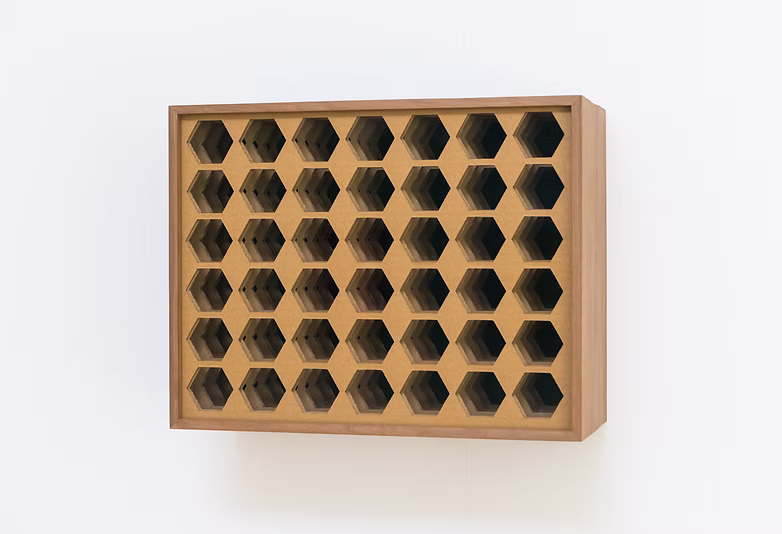 Algo que ver, algo que esconder, 2016, Cartón, madera. Fundación RAC. ©Jaime Olmedo12