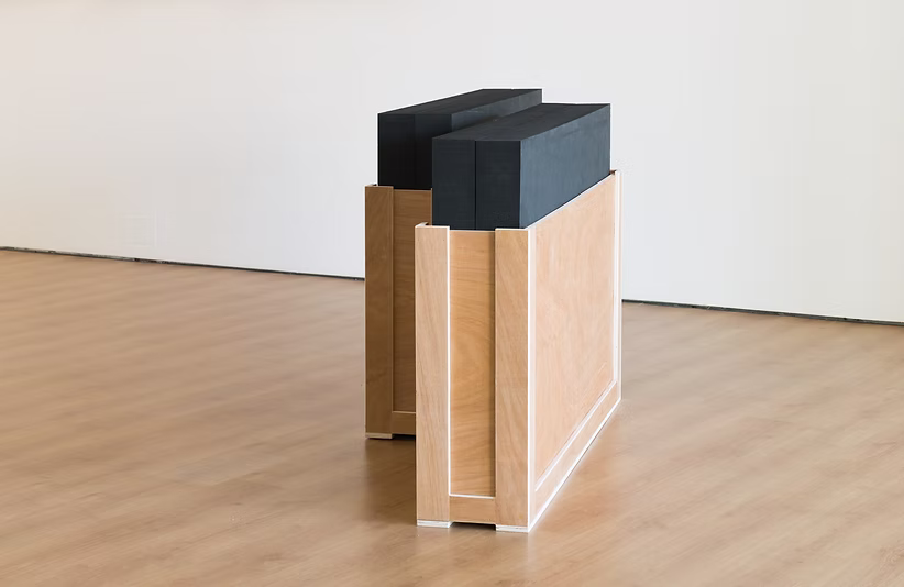 Algo que ver, algo que esconder, 2016, Cartón, madera. Fundación RAC. ©Jaime Olmedo8